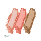 Vegan Pro Cheek Palette · Sculpt, Flush & Highlight