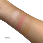Vegan Pro Cheek Palette · Sculpt, Flush & Highlight