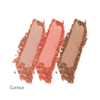 Vegan Pro Cheek Palette · Sculpt, Flush & Highlight