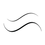 Dual Tip Eyeliner Pen - Rich Black