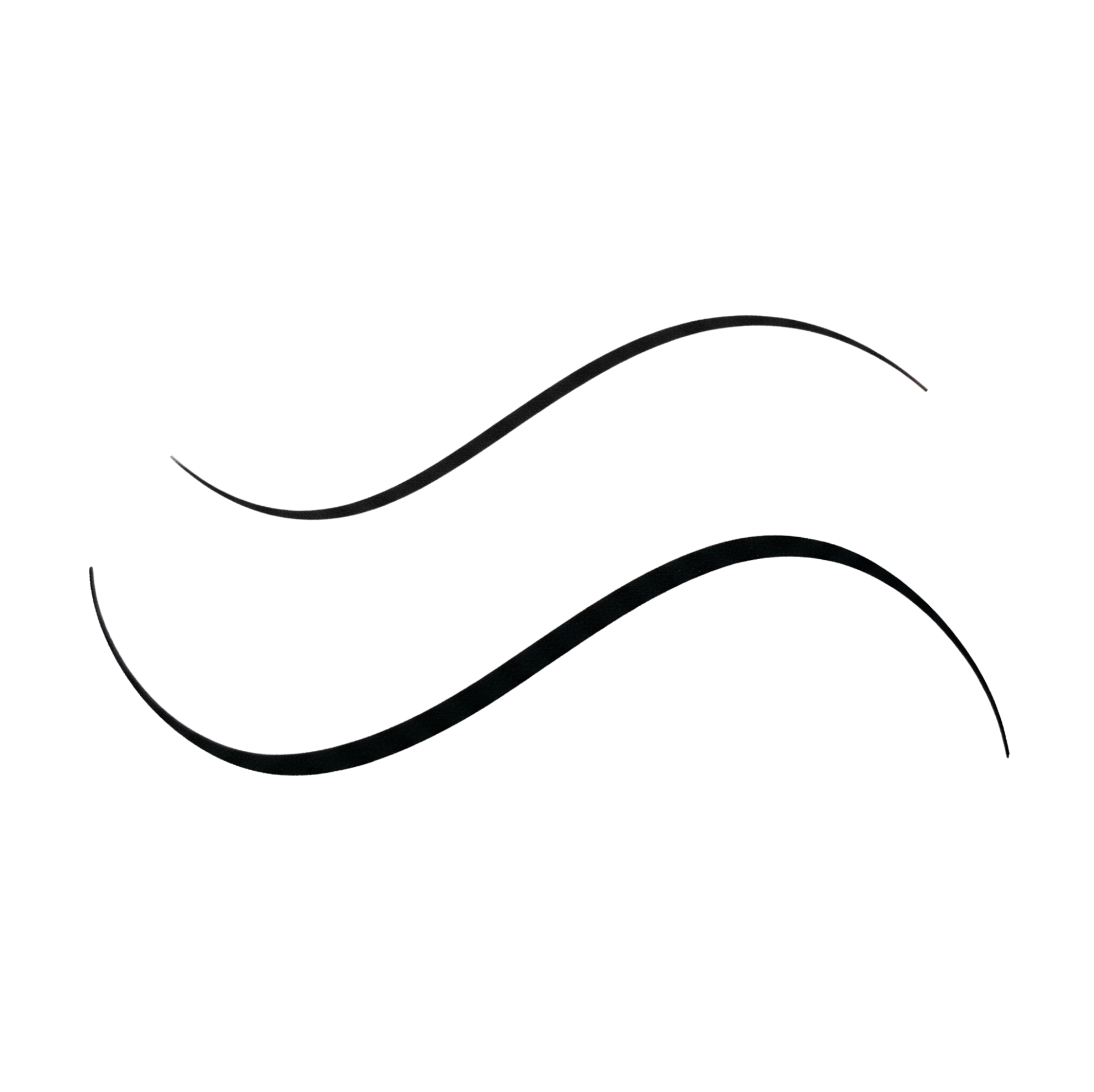 Dual Tip Eyeliner Pen - Rich Black