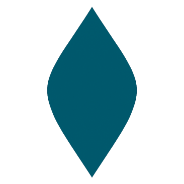 Teal leaf-shaped object on a white background